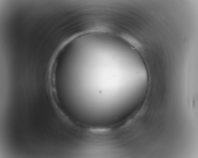 X0000089881200200707191951