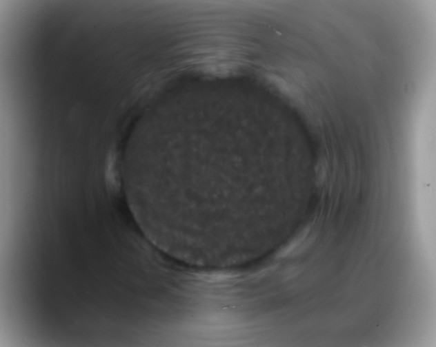 X0000089881202200707191950