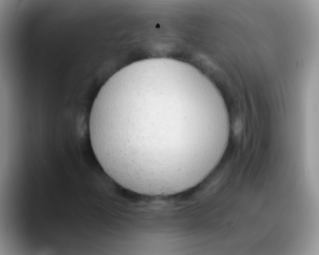 X0000089881204200707191950