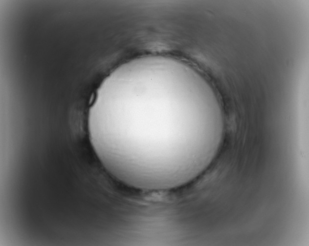 X0000089881205200707191950