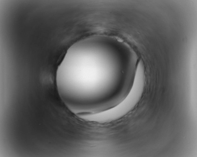 X0000089881206200707191950