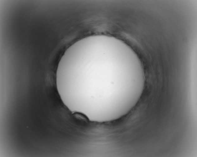 X0000089881207200707191950