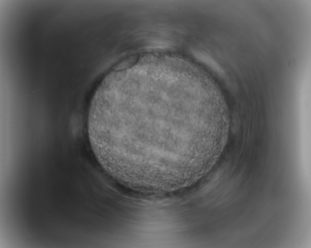 X0000089881208200707191950