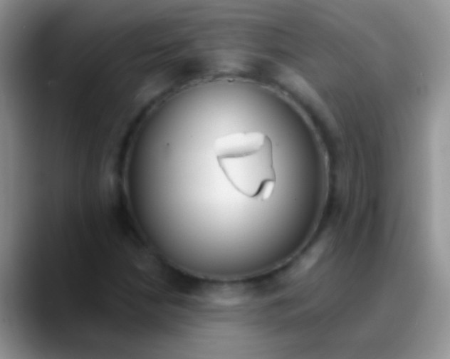 X0000089881210200707191950