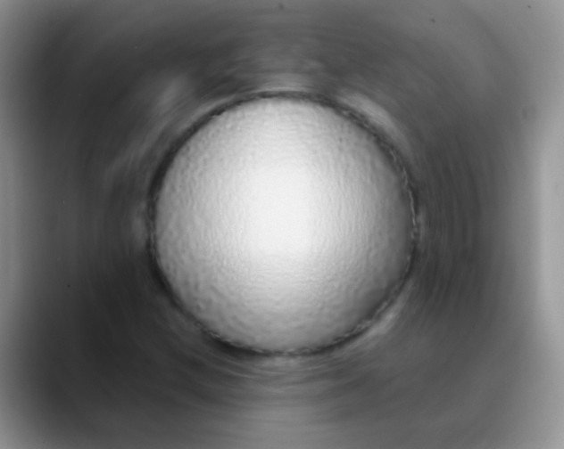 X0000089881212200707191950