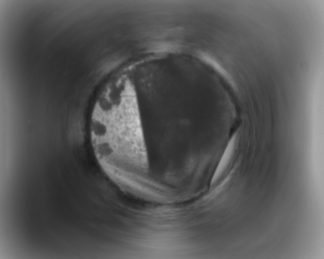 X0000089881213200707191950