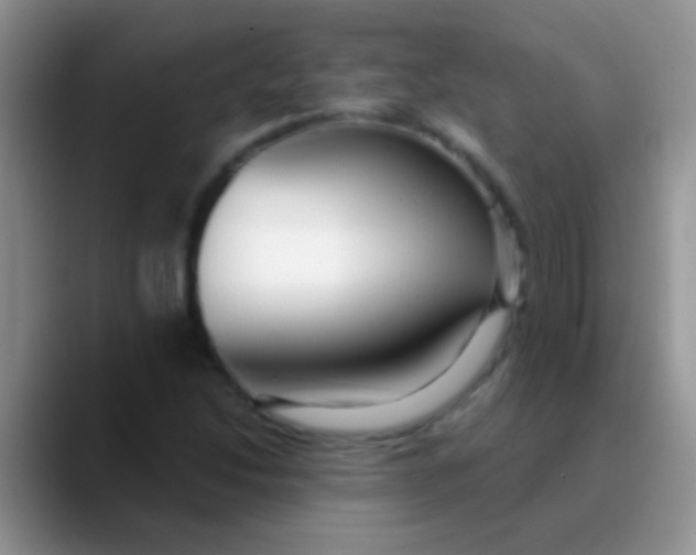 X0000089881214200707191950