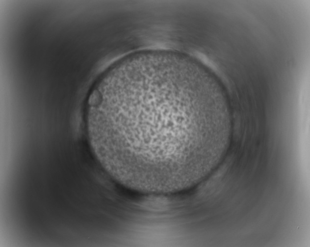 X0000089881215200707191950