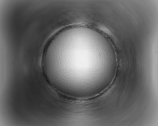 X0000089881216200707191950