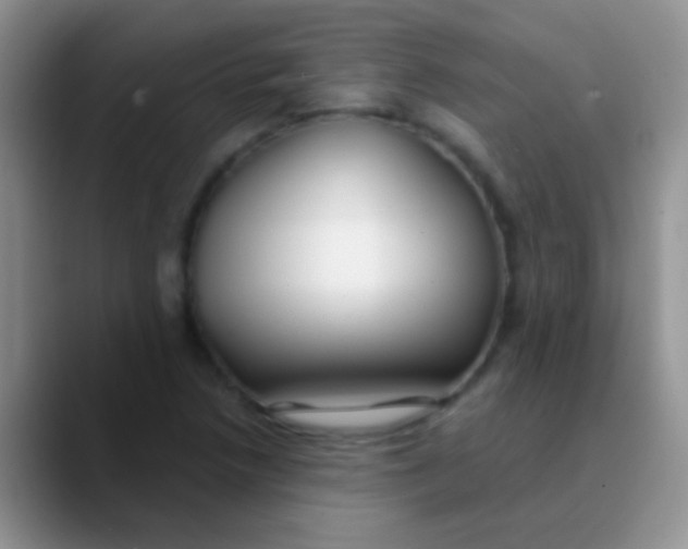 X0000089881218200707191950