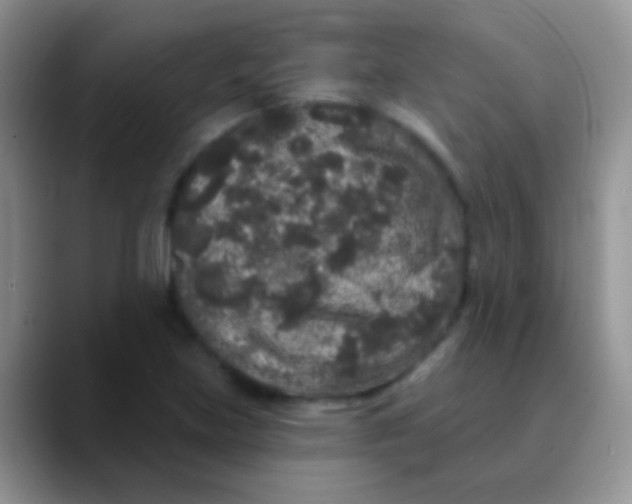 X0000089881219200707191950