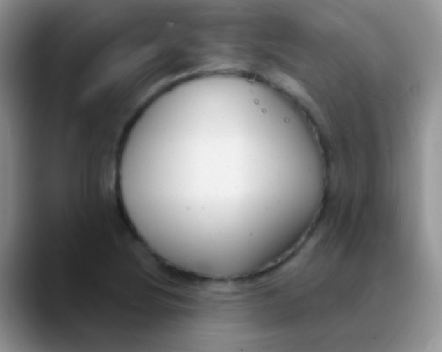 X0000089881220200707191950