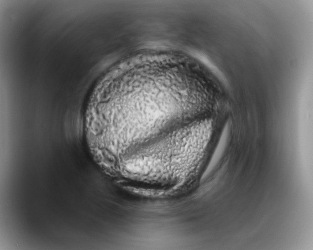 X0000089881221200707191950