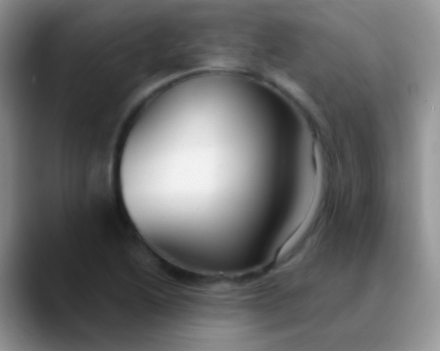 X0000089881222200707191950