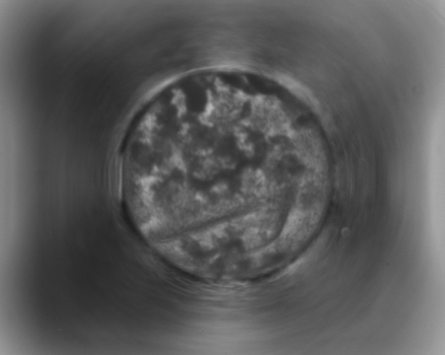 X0000089881223200707191950