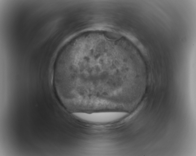 X0000089881224200707191950