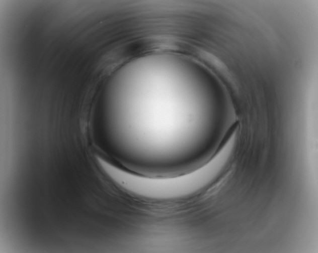 X0000089881225200707191950