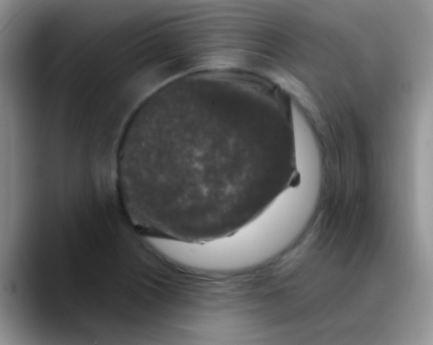 X0000089881226200707191950