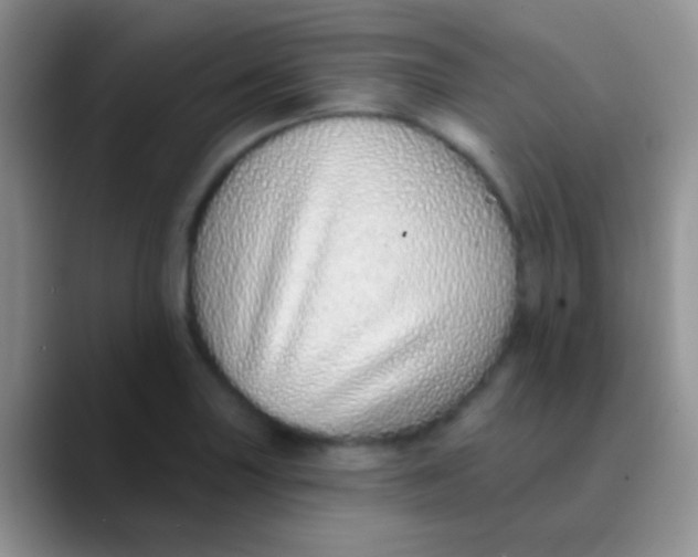 X0000089881227200707191950