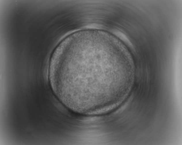 X0000089881228200707191950