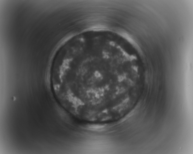 X0000089881229200707191950