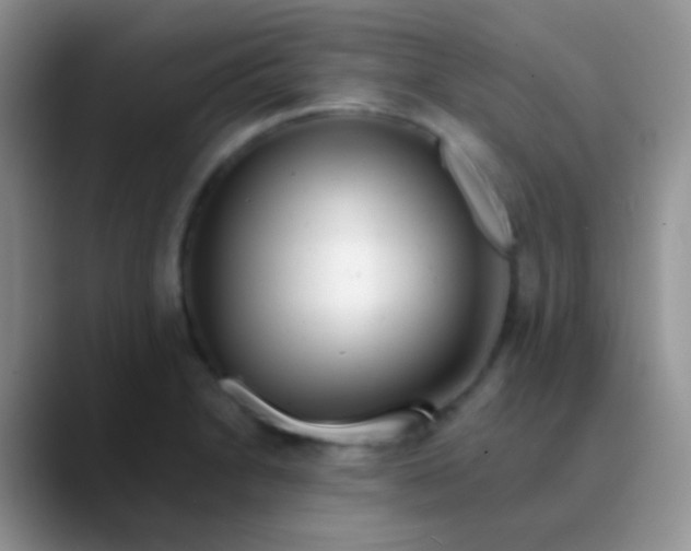 X0000089881230200707191950