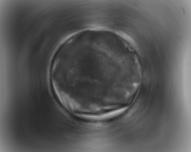 X0000089881231200707191950