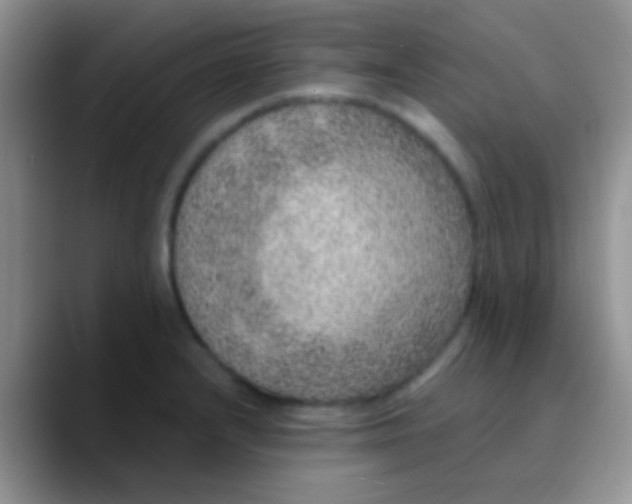 X0000089881232200707191950