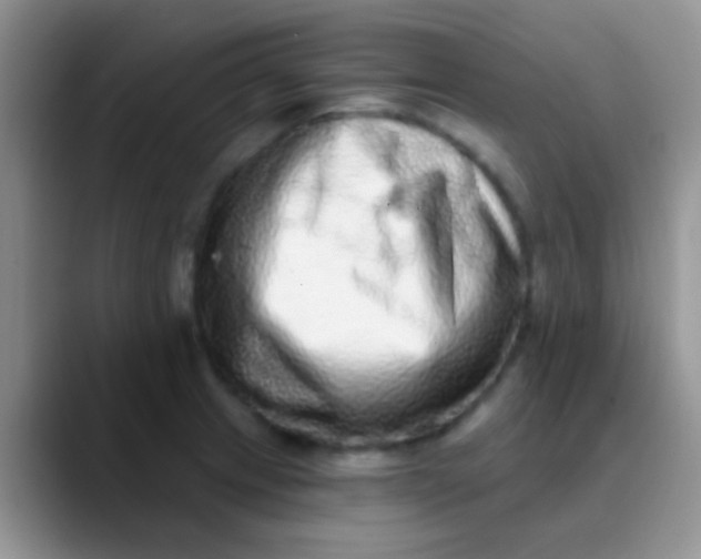 X0000089881233200707191950