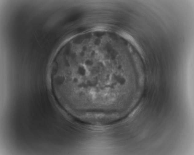 X0000089881235200707191950