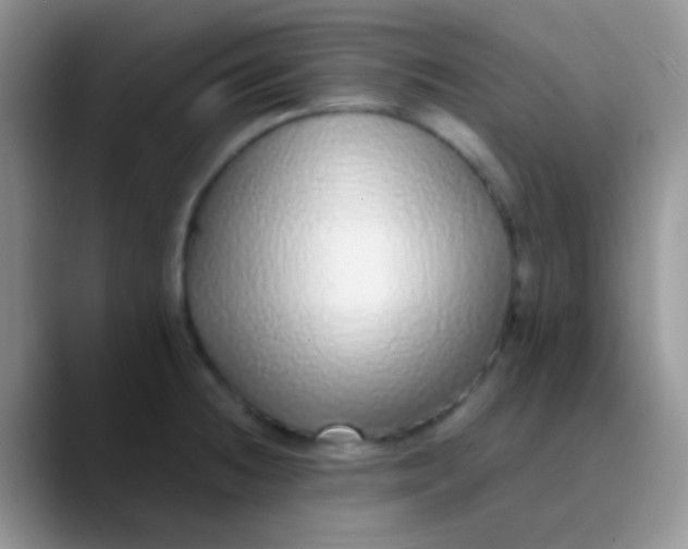 X0000089881236200707191950