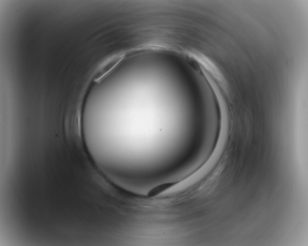 X0000089881238200707191950