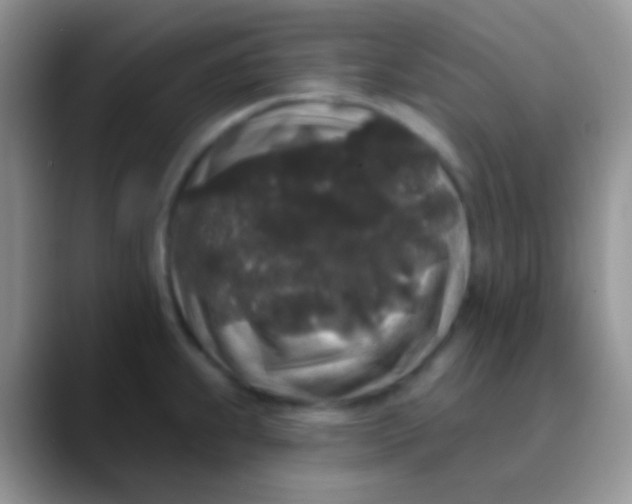 X0000089881239200707191950