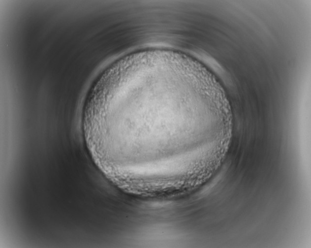 X0000089881240200707191950