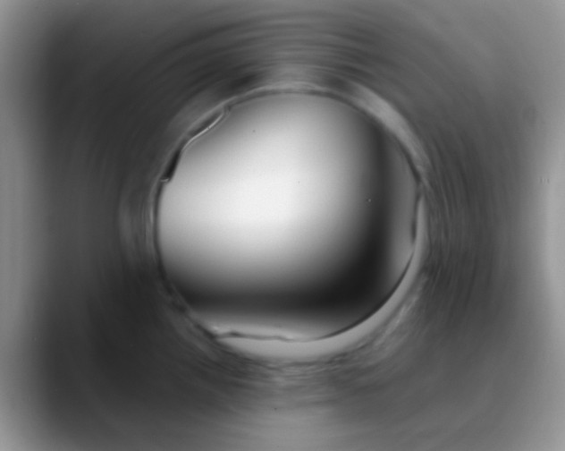 X0000089881242200707191950