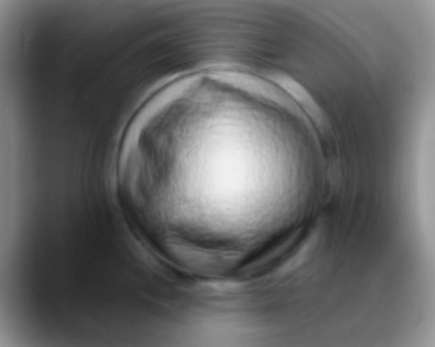 X0000089881244200707191950