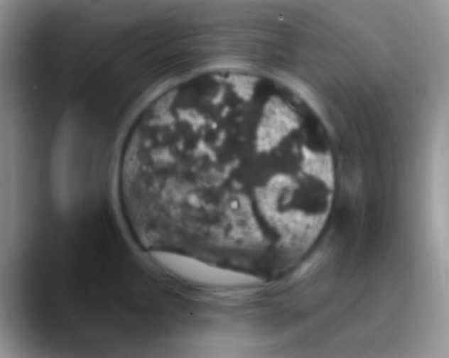 X0000089881245200707191950