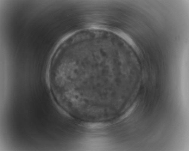 X0000089881247200707191950