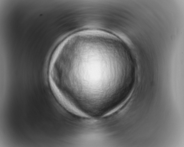 X0000089881248200707191950