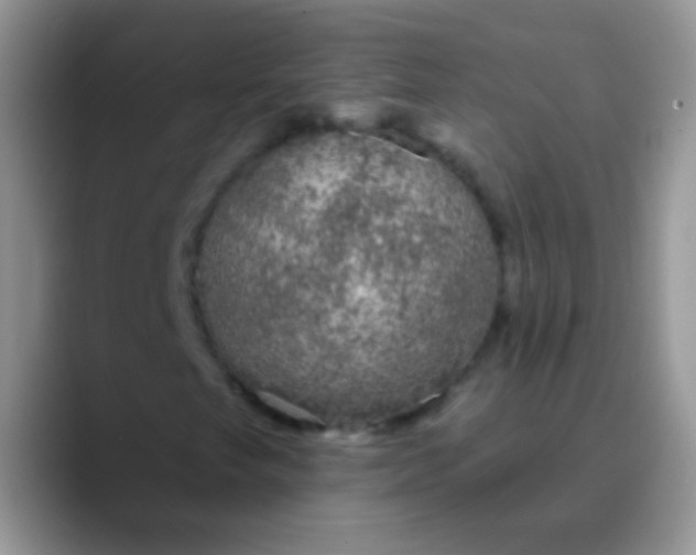 X0000089881249200707191950