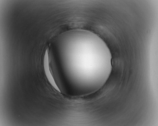 X0000089881250200707191950