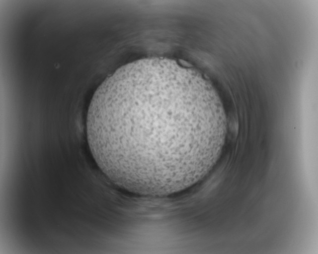 X0000089881252200707191950