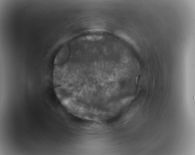 X0000089881255200707191950