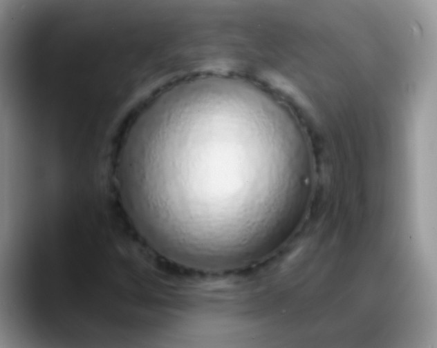 X0000089881256200707191950