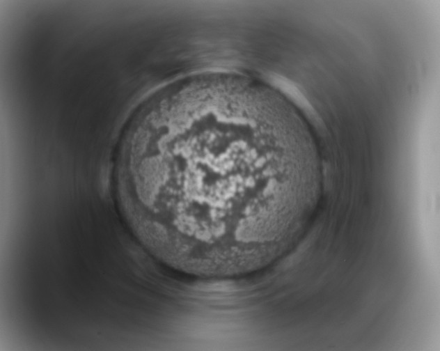 X0000089881260200707191950