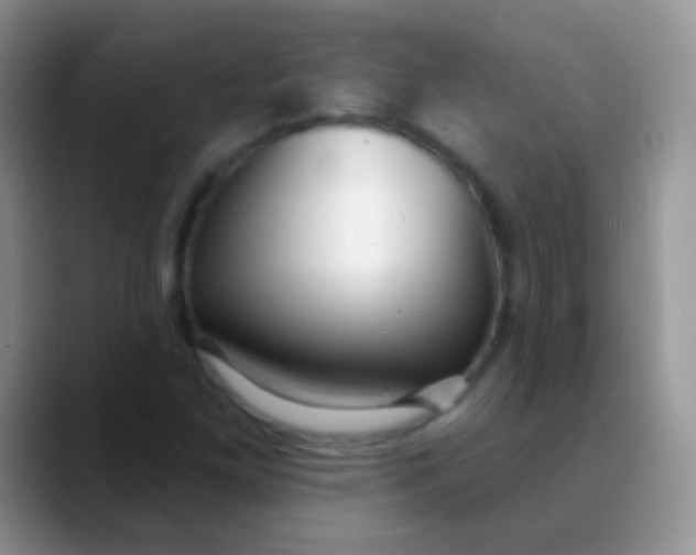 X0000089881261200707191950