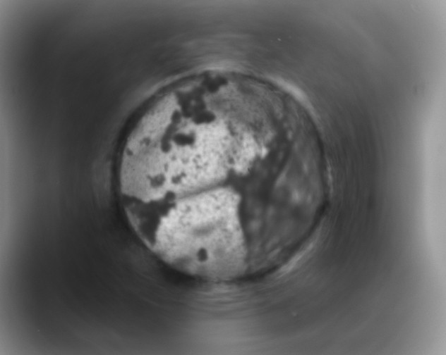 X0000089881263200707191950