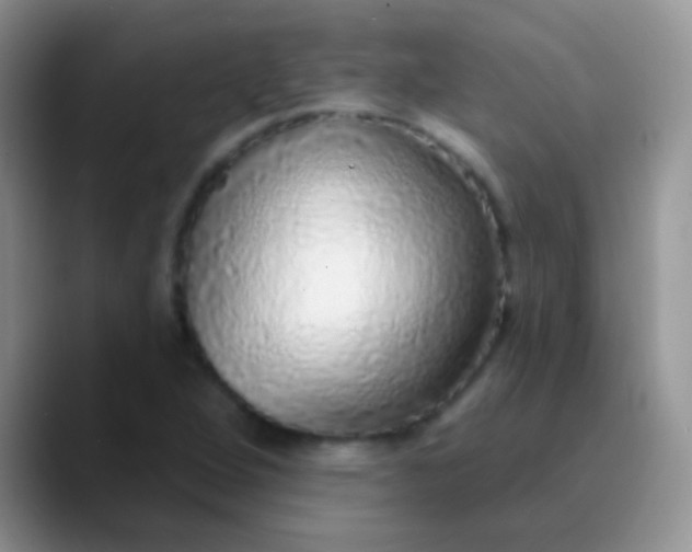 X0000089881264200707191950