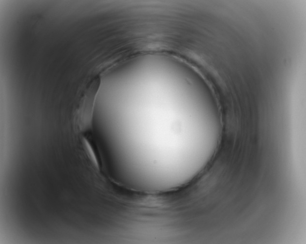 X0000089881265200707191950