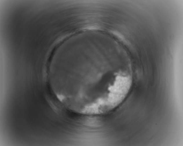 X0000089881266200707191950